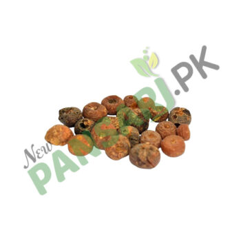 Smearwort (Zaravand Mudharij) also known as Round-Leaved Birthwort Scientific Name Aristolochia Rotunda زراوندمدحرج