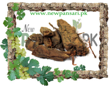 Arjuna Bark (Arjun Ki Chaal) also known as Arjun Tree Bark Scientific Name Terminalia Arjuna ارجن کی چھال