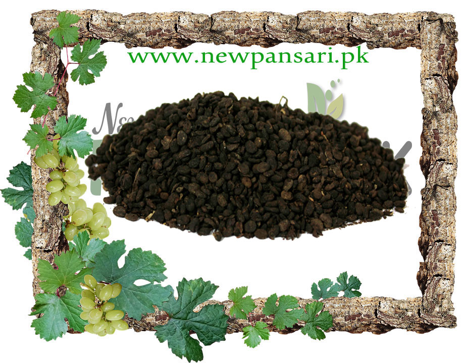 Babchi (Baabchi) - New Pansari