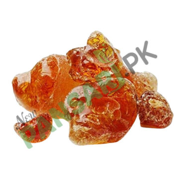 Babool Gum (Gond Babool, Gond Keekar, Gond Kikar) Scientific Name Acacia Arabica گوندببول گوند کیکر