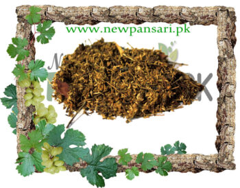 Babool Leaves (Barg-e-Babool) also known as Babul Leaves Scientific Name Acacia Nilotica برگ ببول