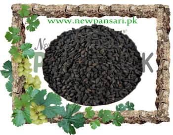Basil Seeds (Tukhm-e-Malanga, Tukhm-e-Rehan) Scientific Name: Ocimum Basilicum تخم ما لنگا تخم ریحان
