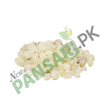 Black Dammar (Chandras) also known as Sanders Scientific Name Canarium Strictum Roxb چندرس سندرس، کندرو، سندوس