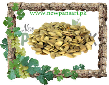 Char Magaz (Charoon Maghaz) چاروں مغز