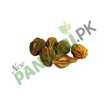 Chebulic Myrobalan (Bari Har) also known as Myrobalan Scientific Name Terminalia Chebula بڑی ہڑ