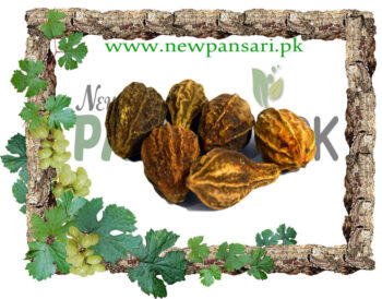 Chebulic Myrobalan (Bari Har) also known as Myrobalan Scientific Name Terminalia Chebula بڑی ہڑ