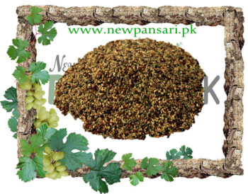 Chicory Seeds (Tukhm-e-Kasni) also known as Blue Daisy, Blue Dandelion, Blue Sailors, Blue Weed, Bunk, Coffeeweed, Hendibeh, Horseweed, Ragged Sailors, Succory, Wild Bachelor's Buttons, Wild Endive Scientific Name Cichorium Intybus تخم کاسنی چکوری کے بیج