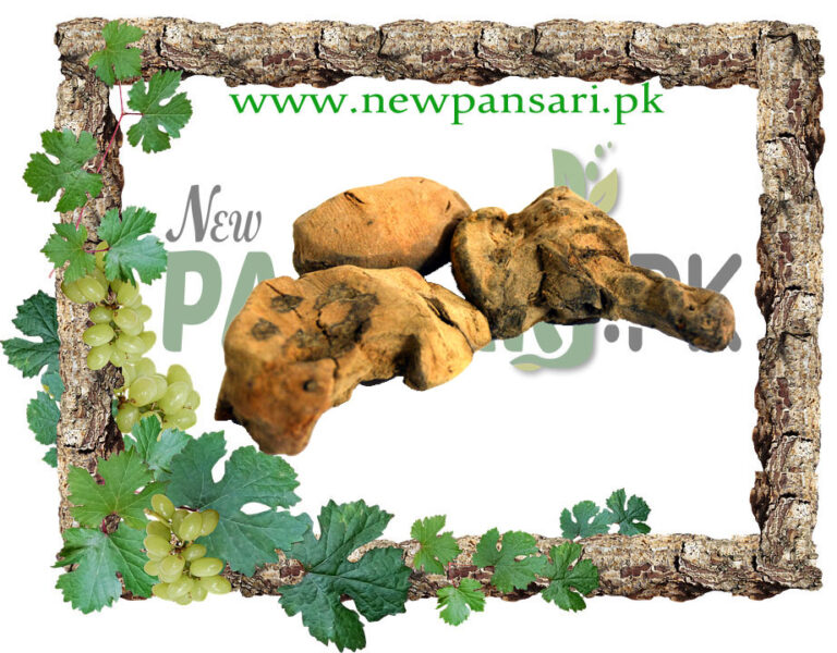 China Root (Chob Cheeni)100% Pure Smilax china - New Pansari