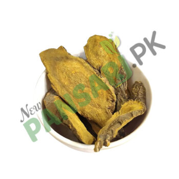 Chinese Rhubarb (Revand Cheeni) also known as Da Huang, Garden Rhubarb, Himalayan Rhubarb, Indian Rhubarb, Medicinal Rhubarb Scientific Name Rheum Officinale ریوند چینی