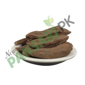 Common Peony (Ood Saleeb) also known as Garden Peony Scientific Name Paonea Officinalis عود صلیب