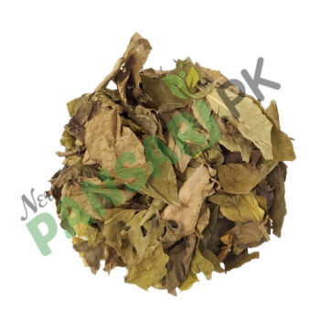 Curry Leaves (Barg-e-Kari, Barg-e-Kadi) Scientific Name Murraya Koenigii برگ کڑی کڑی پتہ