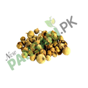 Dunal Seeds (Tukhm-e-Hayat) also known as Vegetable Rennet Seeds Scientific Name Withania Coagulans تخم حیات