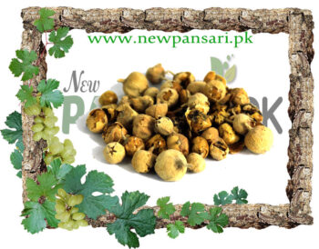 Dunal Seeds (Tukhm-e-Hayat) also known as Vegetable Rennet Seeds Scientific Name Withania Coagulans تخم حیات