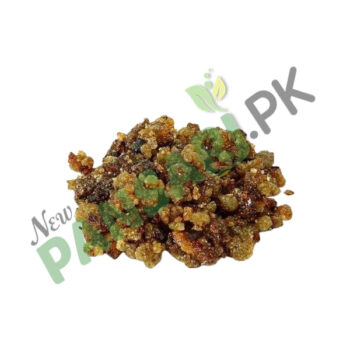 Guggul (Gugal) Scientific Name Commiphora Mukul گوگل