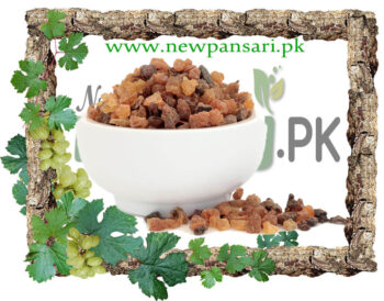 Guggul (Gugal) Scientific Name Commiphora Mukul گوگل