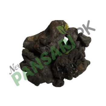 Gum Of Silk Cotton Tree (Gond Mocharas) also known as Red Silk Cotton Tree, Red Cotton Tree, Kapok Scientific Name Salmalia Malabarica گوند موچرس گوند سینبھل