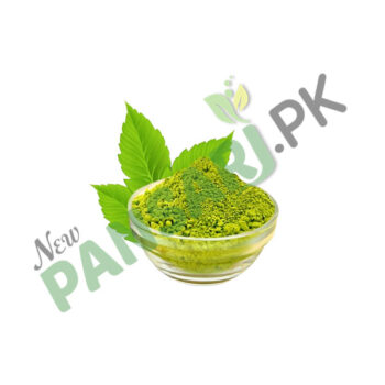 Henna Leaves (Barg-e-Hina) Scientific Name Lawsonia Inermis برگ حنا