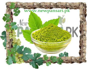 Henna Leaves (Barg-e-Hina) Scientific Name Lawsonia Inermis برگ حنا