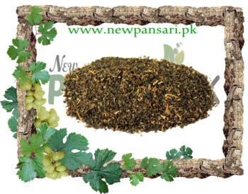 Hygrophila Seeds (Tukhm-e-Talmakhana) Scientific Name Asteracantha Longifolia Linn تخم تالمکھانہ