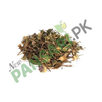 Hyssop (Gul Zoofa) Scientific Name Hyssopus Officinalis گل زوفہ