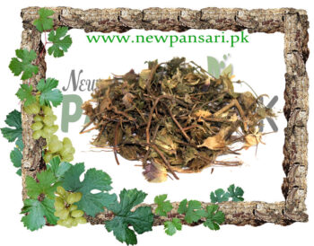 Hyssop (Gul Zoofa) Scientific Name Hyssopus Officinalis گل زوفہ