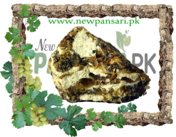 Indian Frankincense Gum (Gond Kundar, Lobaan) also known as Boswellia, Indian Olibanum Scientific Name Boswellia Serrata گوند کندر لوبان