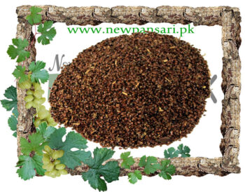 Indian Mallow (Beejband Surkh) Scientific Name Abutilon Indicum بیجبند سرخ