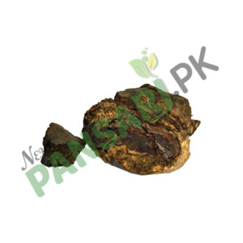 Indian Tree Turmeric (Rasoot India) also known as Indian Barberry, Ophthalmic Barberry Scientific Name Berberis Aristata رسوت انڈیا