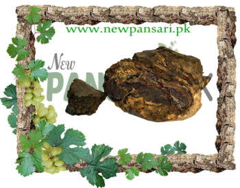 Indian Tree Turmeric (Rasoot India) also known as Indian Barberry, Ophthalmic Barberry Scientific Name Berberis Aristata رسوت انڈیا