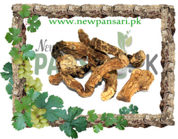 Indian Valerian (Mushk Bala) Scientific Name Valeriana Wallichi مشک بالا