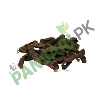 Knotgrass (Anjbar) also known as Prostrate Knotweed, Bird Weed, Low Grass Scientific Name Polygonum Aviculare انجبار