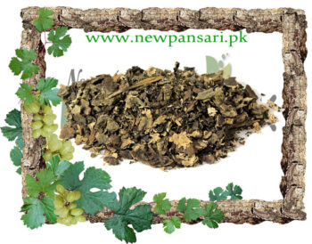 Lichen (Charrilah) Scientific Name Parmelia Perlata چھڑیلہ اشنہ، دوالی، دواله، چھیل چھبیلہ، شیلج، پریو