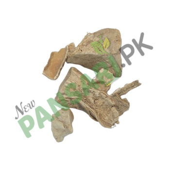 Marine Costus (Qust-e-Shireen) also known as Costus قسط شیریں قسط البحری