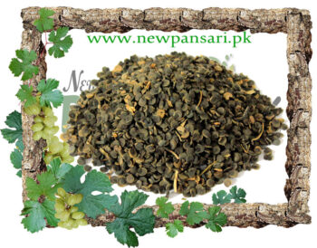 Marsh Mallow (Khatmi, Khitmi) Scientific Name Althea Officinalis Linn خطمی