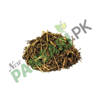 Mexican Sarsaparilla (Ushba Magrabi) also known as Gray Sarsaparilla Scientific Name Smilax Medica Sch عشبہ مغربی