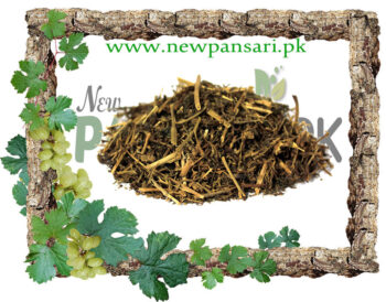 Mexican Sarsaparilla (Ushba Magrabi) also known as Gray Sarsaparilla Scientific Name Smilax Medica Sch عشبہ مغربی