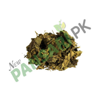 Miracle Fruit (Gurrmaar Booti) also known as Gymnema Scientific Name: Gymnema Sylvestre گڑمار بوٹی