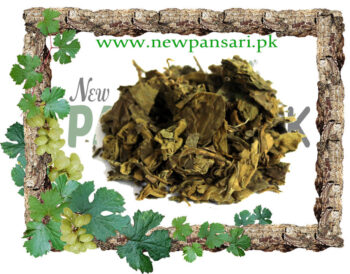 Miracle Fruit (Gurrmaar Booti) also known as Gymnema Scientific Name: Gymnema Sylvestre گڑمار بوٹی