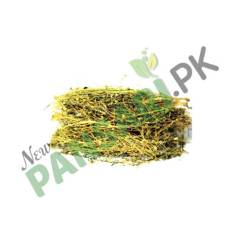 Phyllanthus (Hazar Dana) also known as Bhumy Amalaki Scientific Name Phyllanthus Niruri ہزار دانہ