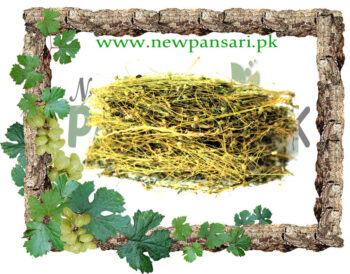 Phyllanthus (Hazar Dana) also known as Bhumy Amalaki Scientific Name Phyllanthus Niruri ہزار دانہ