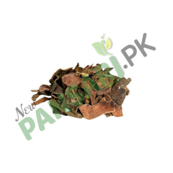 Pistacia (Kakra Singi) Scientific Name Pistacia Integerrima کاکڑاسنگی
