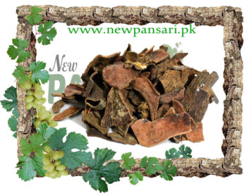 Pistacia (Kakra Singi) Scientific Name Pistacia Integerrima کاکڑاسنگی