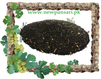 Plumed Cockscomb (Sarwali) also known as Silver Cockscomb Scientific Name Celosia Argentea سروالی