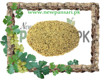Poppy Seeds (Khashkhaash) also known as Opium Poppy Scientific Name Papaver Somniferum خشخاش افیون, پوست