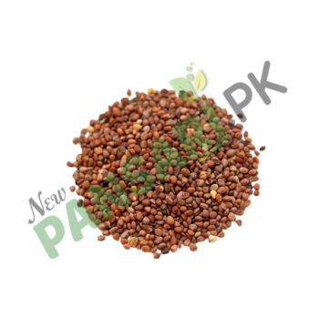 Radish Seeds (Tukhm-e-Mooli) also known as Common Radhish, Wild Radish, Garden Radish Scientific Name Raphanus Sativus Linn تخم مولی مولی کے بیج