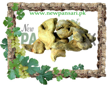 Ranjbeel (Ranjbeel) سنڈ رنجبیل