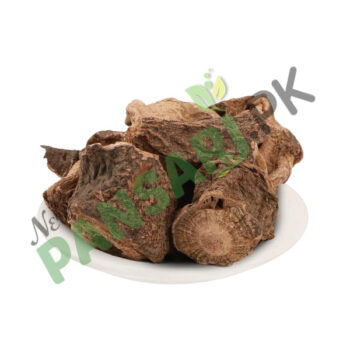 Red Sage (Behman Surkh) also known as Garden Sage, Dalmation Sage, Common Sage Scientific Name Salvia Haematodes بہمن سرخ