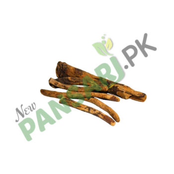 Rhubarb Roots (Revand Khatai) Scientific Name Rheum Rhabarbarum ریوند خطائی