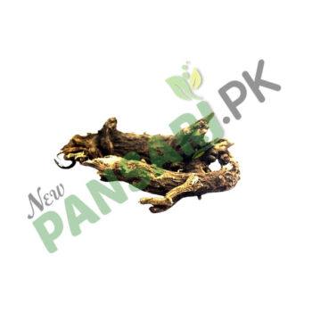 Roots Of Marsh Mallow (Resha Khatmi) Scientific Name Roots Of Althea Officinalis ریشہ خطمی