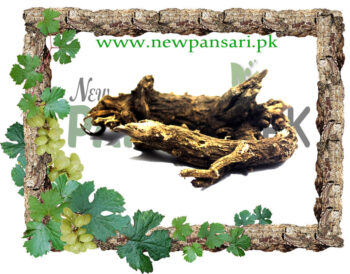 Roots Of Marsh Mallow (Resha Khatmi) Scientific Name Roots Of Althea Officinalis ریشہ خطمی